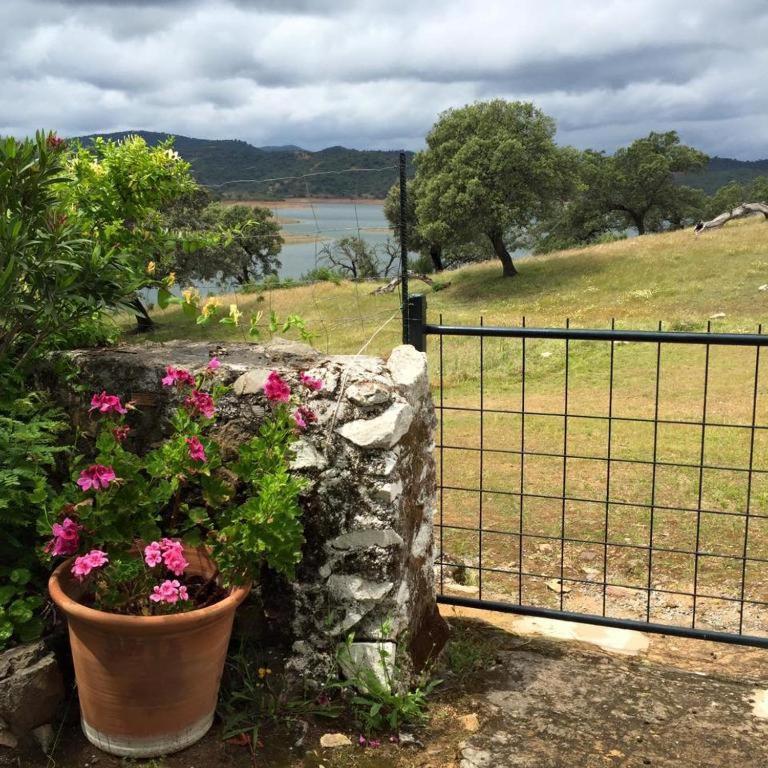 Finca La Vicacaria Limonero Суфре Экстерьер фото